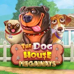 The Dog House Megaways gra w Allright Casino dla graczy z Polski The Dog House Megaways gra w Allright Casino dla graczy z Polski
