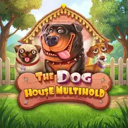 The Dog House Multihold gra w Allright Casino dla graczy z Polski The Dog House Multihold gra w Allright Casino dla graczy z Polski